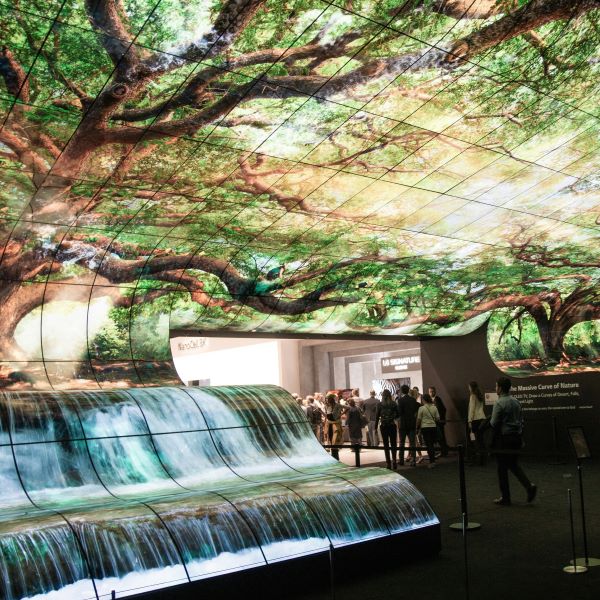 360° Panoramic Curved Surface LED Screens